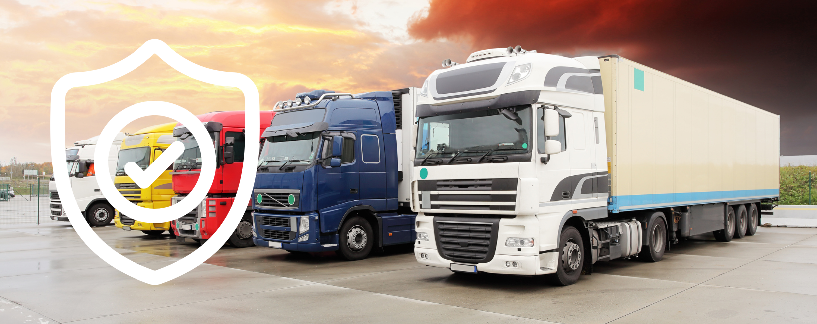 Seguro Global de Transporte Anual